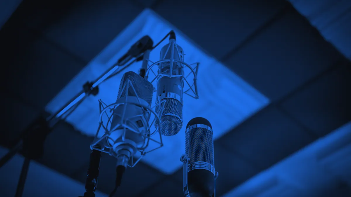 A professional studio microphone for speech recognition.